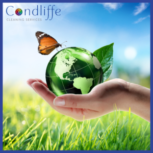 Eco Friendly Commercial Cleaners